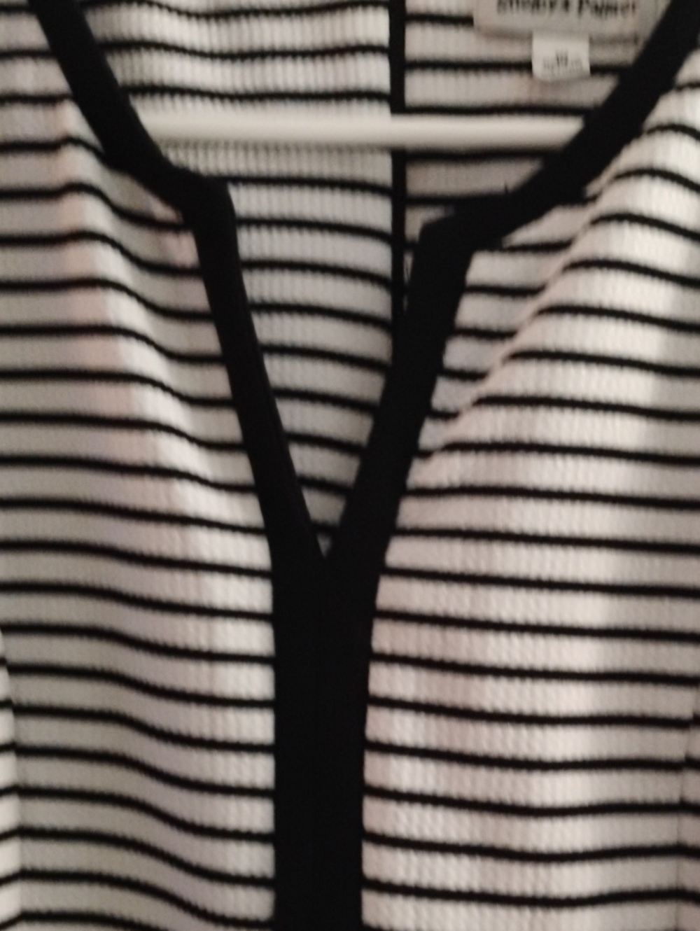 Striped V-Neck Dress- Black & White